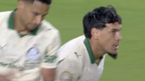 miami palmeiras